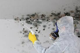 Forensic Mold Investigation in Kingstowne, VA